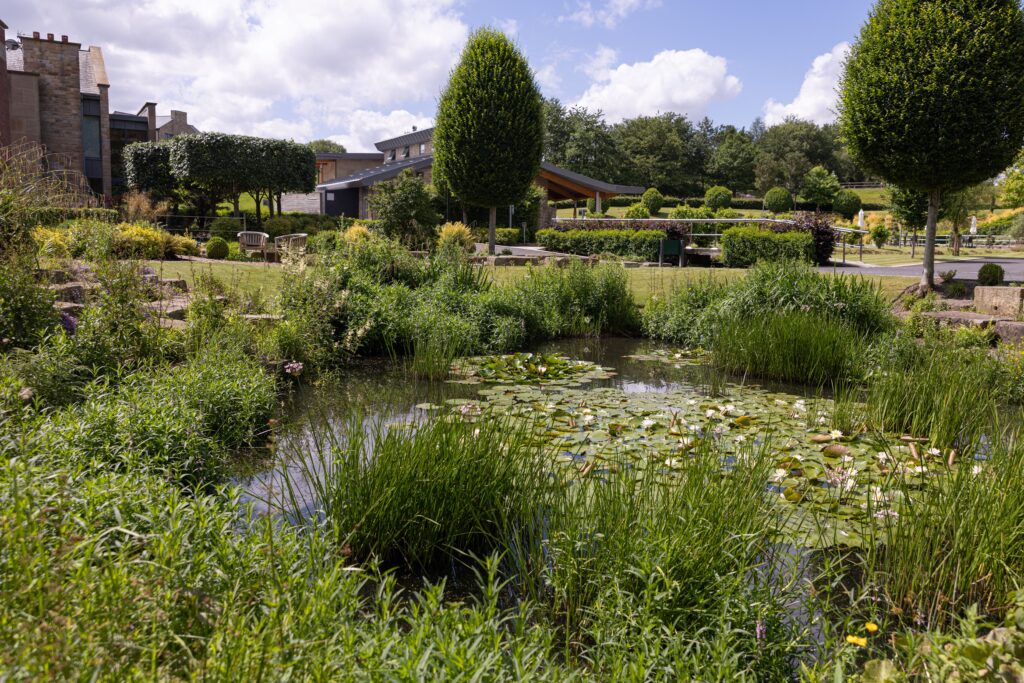 Wildlife pond and landscaped gardens at Birtle Brook Village